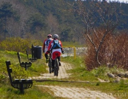Ścieżka rowerowa przez Półwysep Helski 